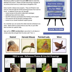 This is the last page of the tutorial, and it includes details of video lessons that area available for the Labrador painting.  The page also includes other PDF art lessons, a kestrel, harvest mouse, butterfly and wren.