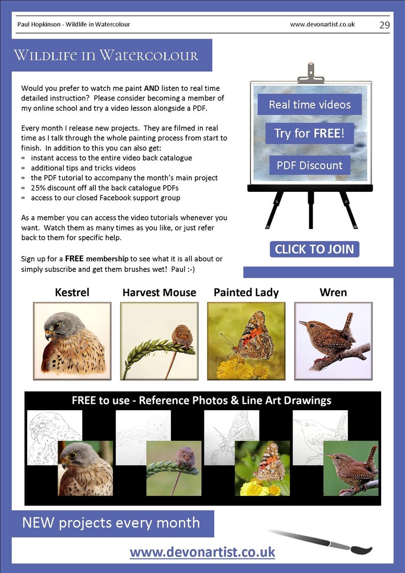 This is the last page of the tutorial, and it includes details of video lessons that area available for the Labrador painting.  The page also includes other PDF art lessons, a kestrel, harvest mouse, butterfly and wren.