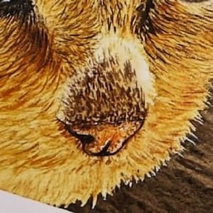 A close up of the nose and chin, showing the details that Paul is adding to the cat.  These are very fine, and it almost looks like he has painted every hair.