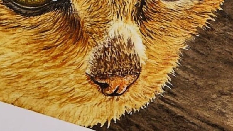 A close up of the nose and chin, showing the details that Paul is adding to the cat.  These are very fine, and it almost looks like he has painted every hair.