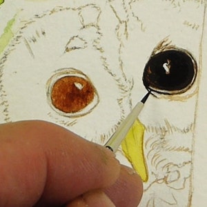 A photo from early on in the project as Paul paints one of the owl's eyes.  He has a base wash applied on one, is working on the darker layers on the other eye.