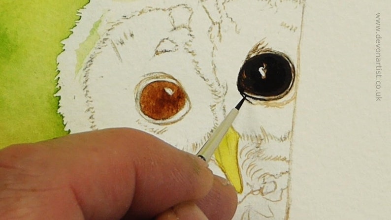 A photo from early on in the project as Paul paints one of the owl's eyes.  He has a base wash applied on one, is working on the darker layers on the other eye.