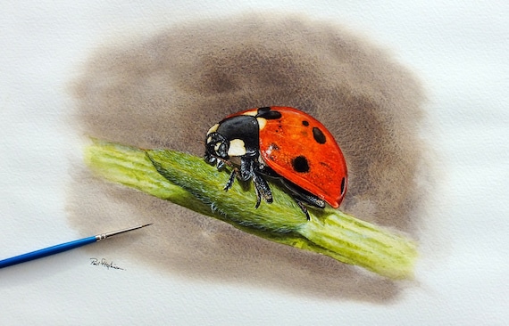 Detailed Wildlife Painting Tutorial Paint A Ladybird In Watercolor Pdf Watercolour Lesson How To Paint A Detailed Wildlife Painting Tutorial Paint A Ladybird In Watercolor Pdf Watercolour Lesson How To Paint A