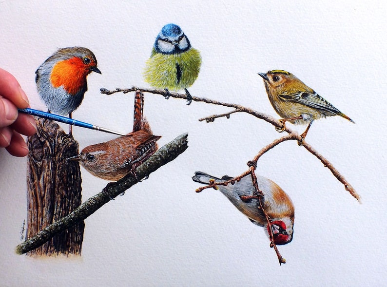 Paul holding his brush beside a very fine detailed watercolour painting of 5 small birds.  There's a robin on a stump, a blue tit and goldcrest on a branch.  A goldfinch hanging underneath the branch and a wren on a stick.