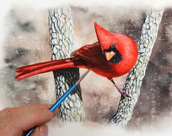 Cardinal Watercolor Painting Lesson, Online Bird Painting Tutorials, Fully Downloadable Art Course