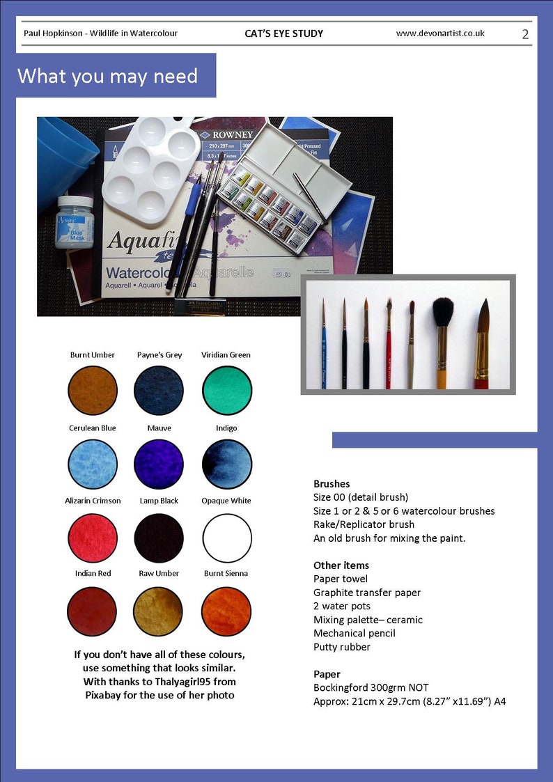 The material page of the lesson, this has swatches of all the watercolours that are needed.  Alongside there is a list of materials, including brushes.