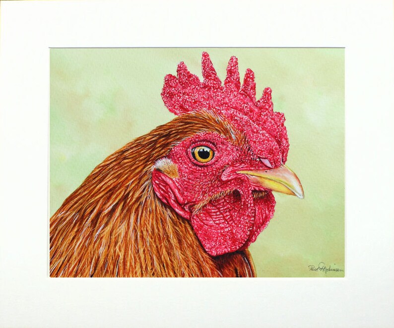 The rooster painting displayed in a cream-coloured mount.