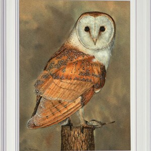 May include: A watercolor painting of a barn owl perched on a wooden post. The owl has a white face with black eyes and a brown and white body with brown speckles. The background is a muted brown.