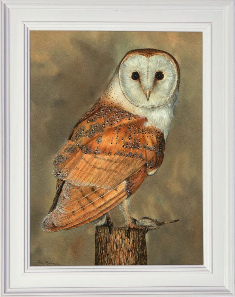 May include: A watercolor painting of a barn owl perched on a wooden post. The owl has a white face with black eyes and a brown and white body with brown speckles. The background is a muted brown.