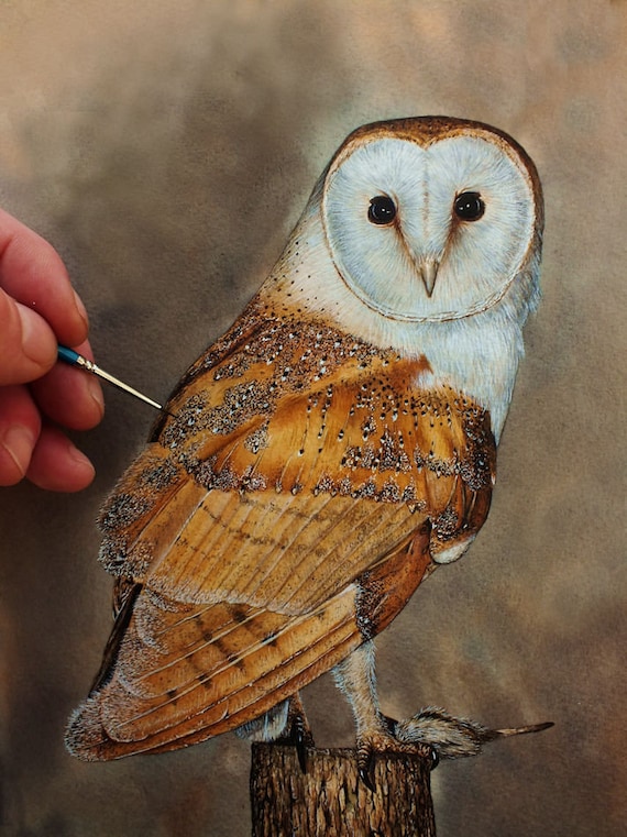 Learn How to Paint, PDF Watercolour Owl Tutorial, Bird of Prey Watercolor  Lesson, Realistic Art Illustration, Artist Gift, Barn Owl Painting - Etsy