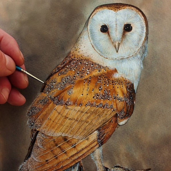 Learn How to Paint, PDF Watercolour Owl Tutorial, Bird of Prey Watercolor Lesson, Realistic Art Illustration, Artist Gift, Barn Owl Painting