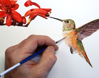 Learn How to Paint a Hummingbird in Watercolor, PDF Downloadable Watercolour Lesson, Illustration Art Tutorial, Wildlife/ Botanical Painting