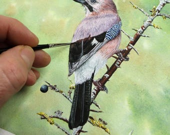 Learn to Paint a British Bird in Realistic Watercolour: Instant Download