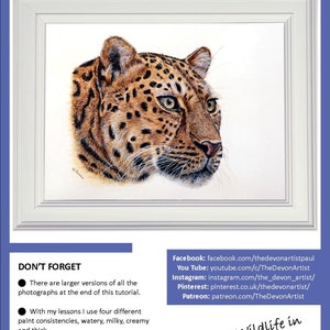 The first page of the PDF, which shows the finished leopard painting in a white frame.  There are also details of Paul's other online channels, like Patreon, Facebook and YouTube.