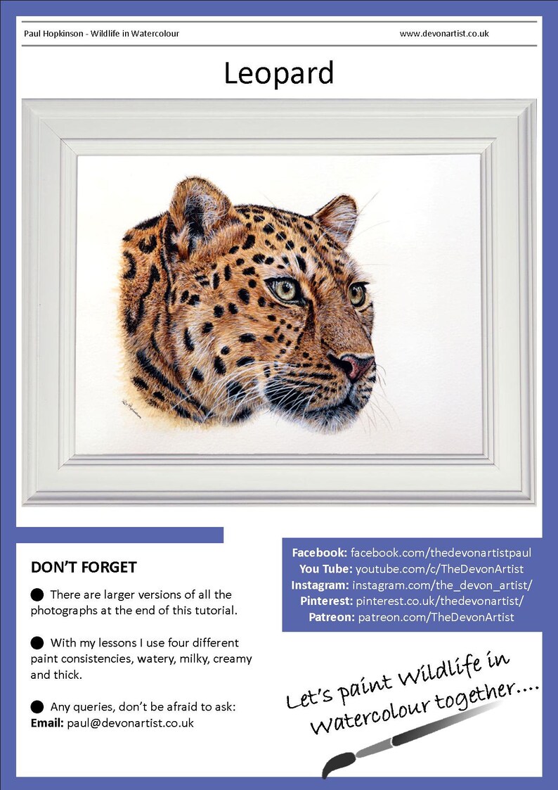 The first page of the PDF, which shows the finished leopard painting in a white frame.  There are also details of Paul's other online channels, like Patreon, Facebook and YouTube.