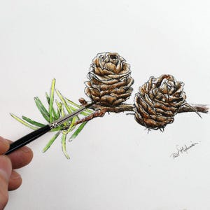 Tutorial de caneta e aguarela, cartão de felicitações em aquarela de cone de lariço, pintura simples em aquarela