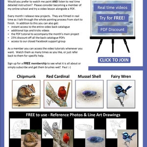 The last page of the lesson with details of the video tutorials that the artist also sells.  There are also illustrations of 4 more PDF lessons that can be bought.  A chipmunk, red cardinal, seashell and fairy wren bird.