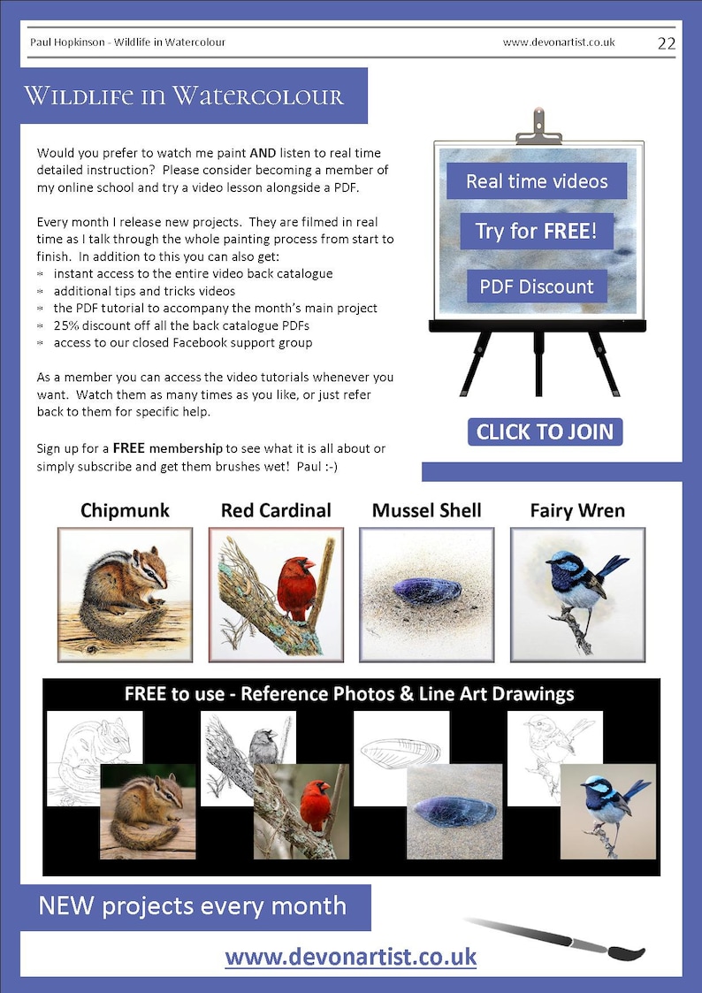 The last page of the lesson with details of the video tutorials that the artist also sells.  There are also illustrations of 4 more PDF lessons that can be bought.  A chipmunk, red cardinal, seashell and fairy wren bird.