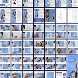 An overview image of the whole Kestrel painting lesson.  This has both written sections, and masses of step-by-step photos.  There are over 40 pages in all.