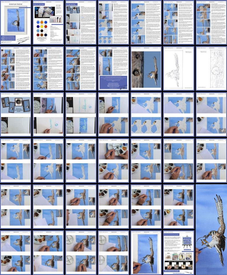 An overview image of the whole Kestrel painting lesson.  This has both written sections, and masses of step-by-step photos.  There are over 40 pages in all.