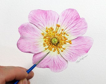 Watercolour Rose Painting Tutorial, Realistic Watercolor Flower Illustration, Learn to Paint Online