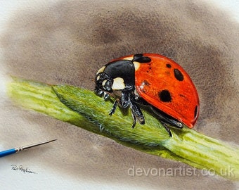 水彩てんとう虫の描き方チュートリアル：リアルな昆虫アート