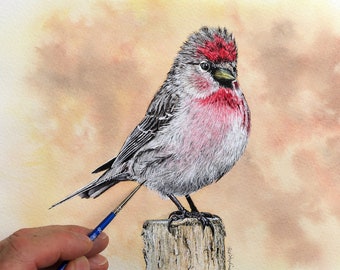Learn to Paint Birds in Realistic Watercolour, Downloadable Watercolor Redpoll Painting Lesson, Art Class