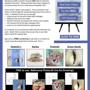 The last page of the lesson which has details about video tutorials that can be purchased too.  There are also images of 4 other PDF tutorials, an adult kestrel, a gecko, a cheetah and a grass seed head.