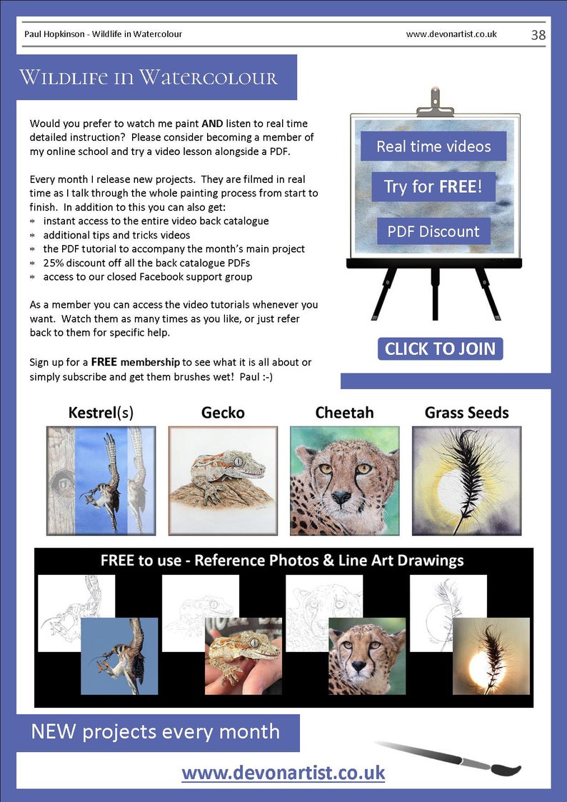 The last page of the lesson which has details about video tutorials that can be purchased too.  There are also images of 4 other PDF tutorials, an adult kestrel, a gecko, a cheetah and a grass seed head.