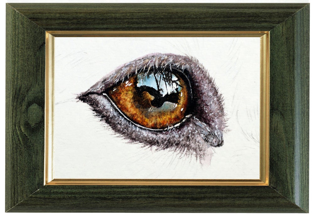 オリジナルの動物アートワーク、リアルな水彩画の犬の目の絵 - Etsy 日本