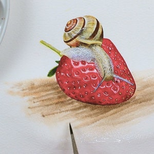 The snail and strawberry are fully painted, and Paul is adding a suggestion of a piece of wood under everything using a larger brush and applying streaks of various browns.