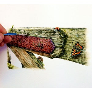 Watercolour Study Piece, Learn to Paint Textures like Rusty Metal and Old Wood in Watercolor, Realistic Illustration Art