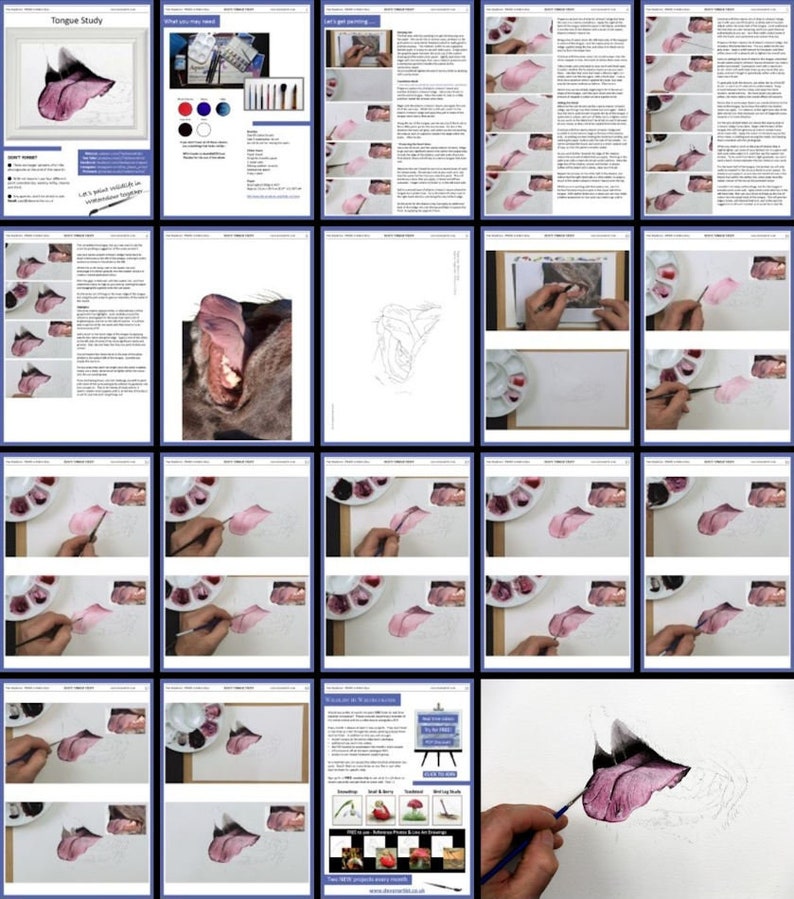 An overview collage of all the pages in the dog tongue painting lesson.  Paul's progress is shown through masses of photos of his own painting as he works on it start to finish.  These images are combined with blocks of written text.