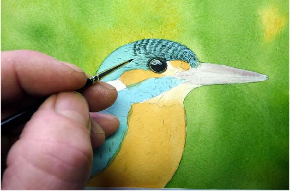 カワセミの水彩画チュートリアル：リアルな鳥のアート（PDF
