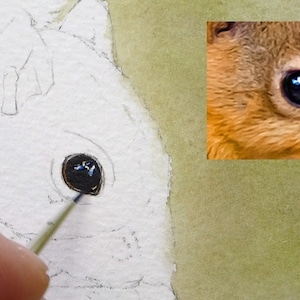 An early point in the painting process.  Paul has applied a green wash to the background, and is working on the black, shiny eye.  This already looks lifelike.