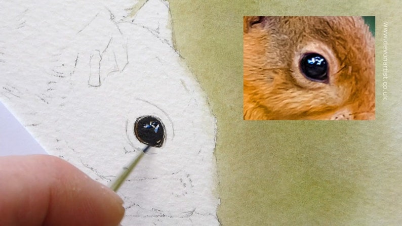 An early point in the painting process.  Paul has applied a green wash to the background, and is working on the black, shiny eye.  This already looks lifelike.