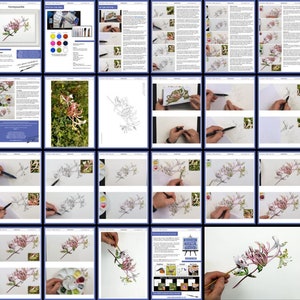 The flower painting and drawing tutorial as it is laid out in the PDF.  This shows the gradual build up of the painting in small steps with written guidance alongside the photos of each stage.
