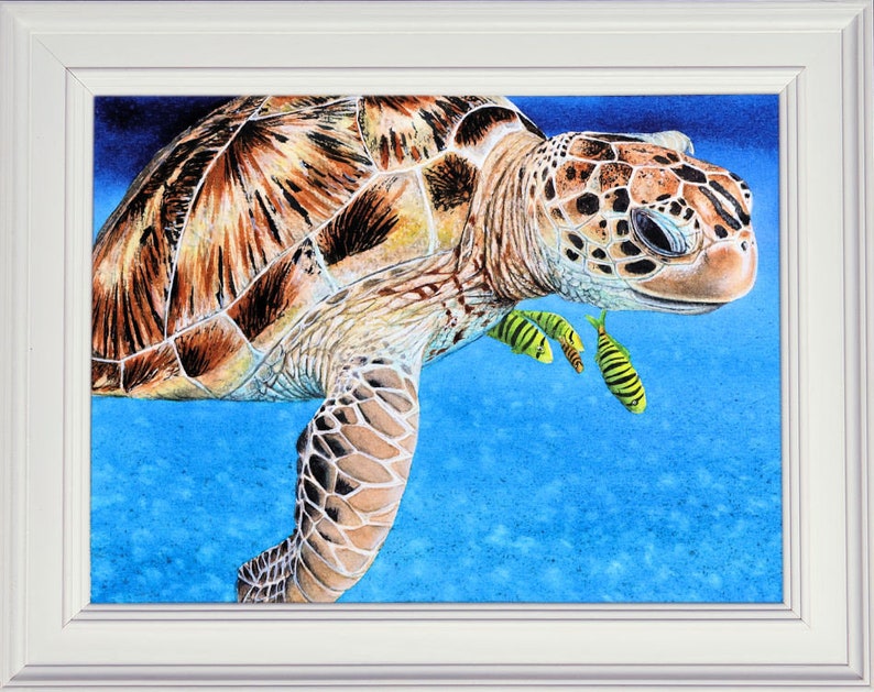 The finished turtle painting in a white frame.  The animal is set against a bright blue background, with 4 small yellow fish alongside.  The turtle is brown, but has patterns all over its skin and shell.