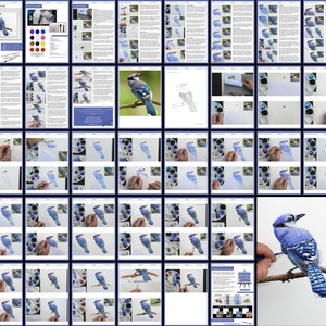 The blue jay lesson, laid out as a collage showing all of the pages.  There's lots of written text alongside photos of the painting.  There's also masses of bigger photos showing the process start to finish.