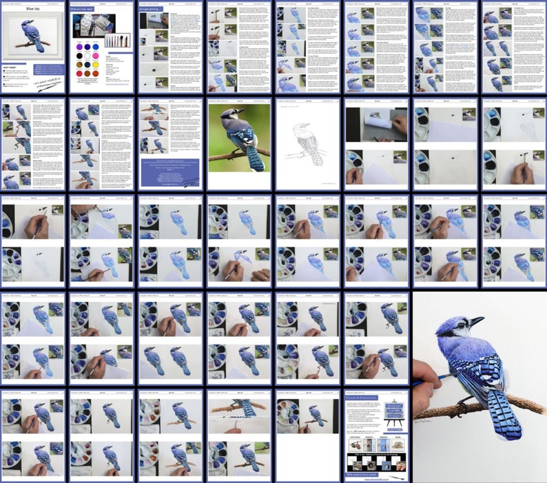 The blue jay lesson, laid out as a collage showing all of the pages.  There's lots of written text alongside photos of the painting.  There's also masses of bigger photos showing the process start to finish.