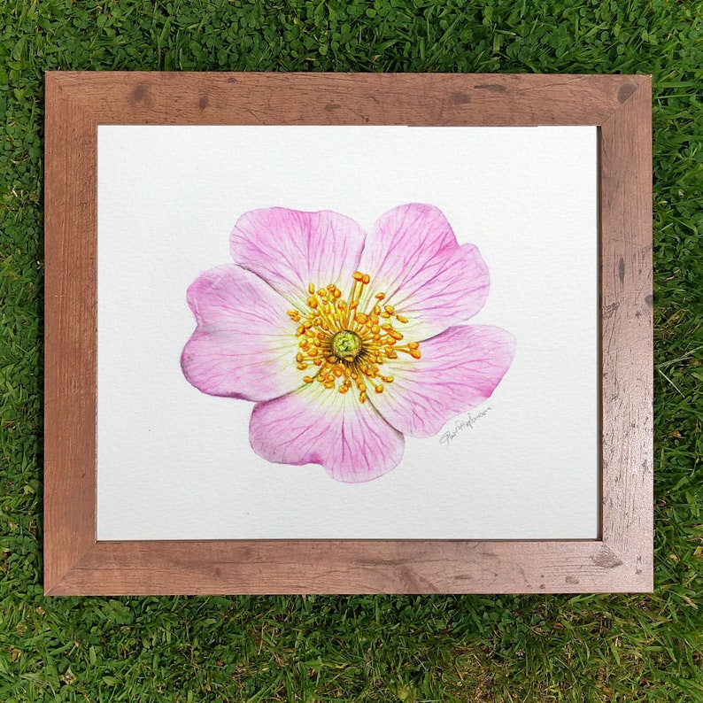 The dog rose painting in a wooden frame which has been laid on a lawn.