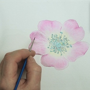 All the petals have a pink wash applied in this photo.  Paul is holding a small brush, and is starting to add fine details to each of the petals.