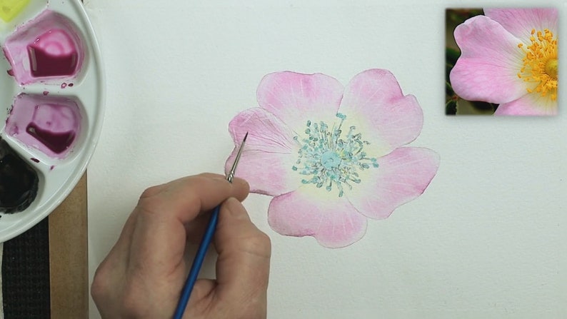 All the petals have a pink wash applied in this photo.  Paul is holding a small brush, and is starting to add fine details to each of the petals.