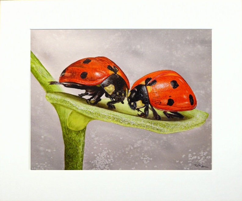 The ladybird painting shown in a cream mount.