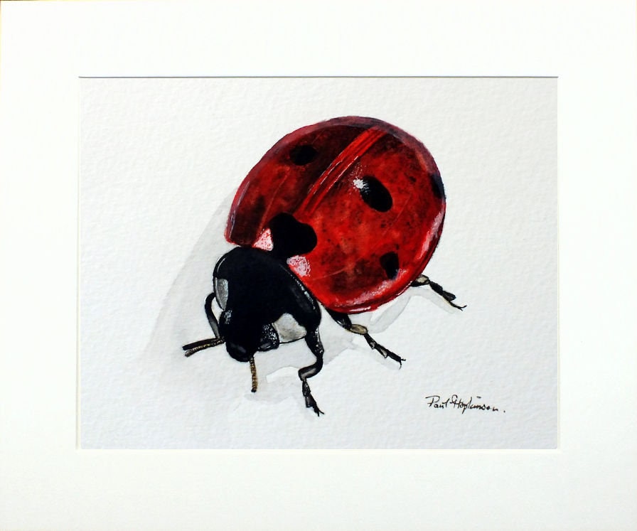 オリジナルテントウムシ水彩画：美術昆虫イラスト - Etsy 日本