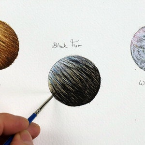 Paint Realistic Fur Using Watercolor, Fine Art Watercolour Lifelike Detail, Beginner Painting Lessons, PDF Art Tutorials, Watercolor Study
