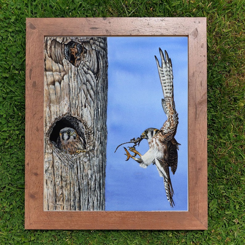 The kestrel painting shown in a brown frame
