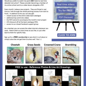 The last page of the ebook, showing other tutorials that can be downloaded from the shop.  These include a cheetah, grass seed head, crowned crane and a brambling bird.