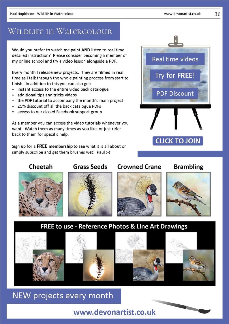 The last page of the ebook, showing other tutorials that can be downloaded from the shop.  These include a cheetah, grass seed head, crowned crane and a brambling bird.