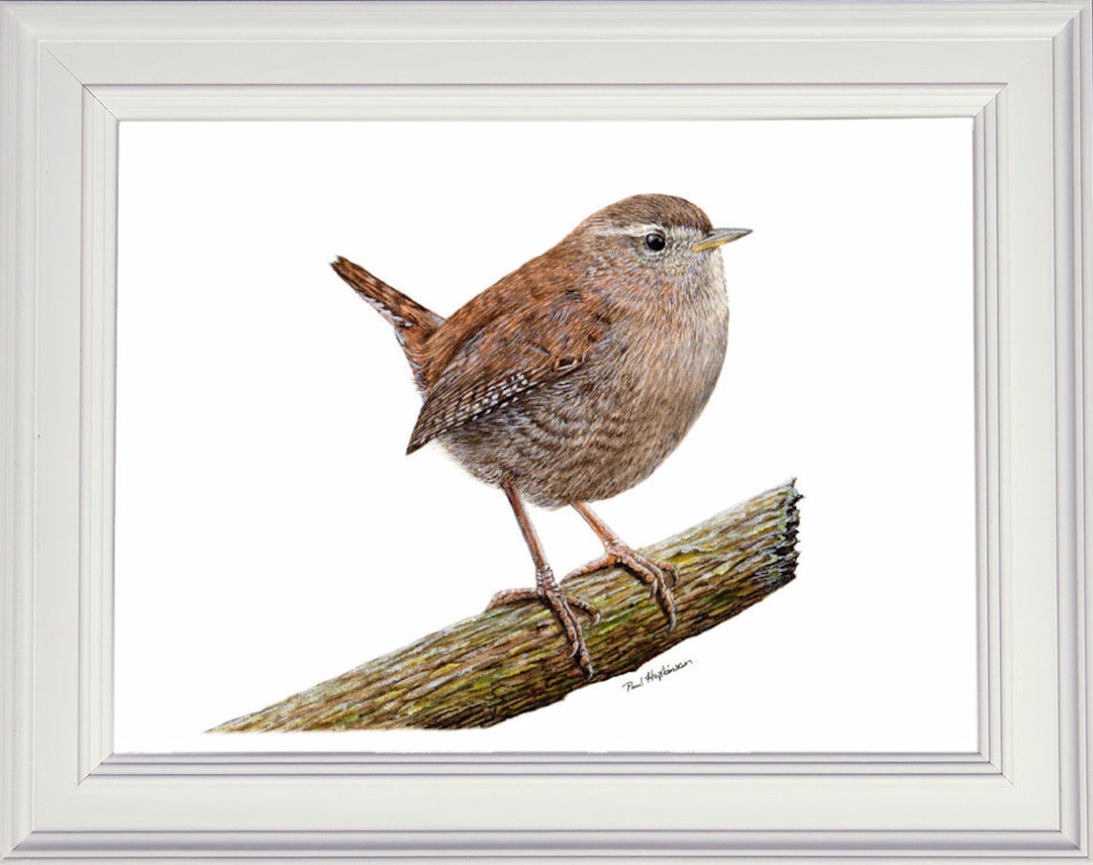 Learn to Paint Birds in Watercolour Step by Step PDF Etsy UK